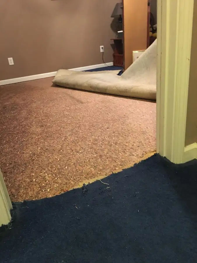 Carpet pad removal revealing water damage during Water Mitigation Services in San Jacinto